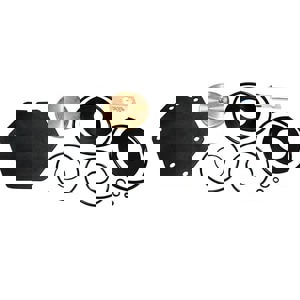 LFNP 2-1/2 - 3 LFRK909 RT REP KIT